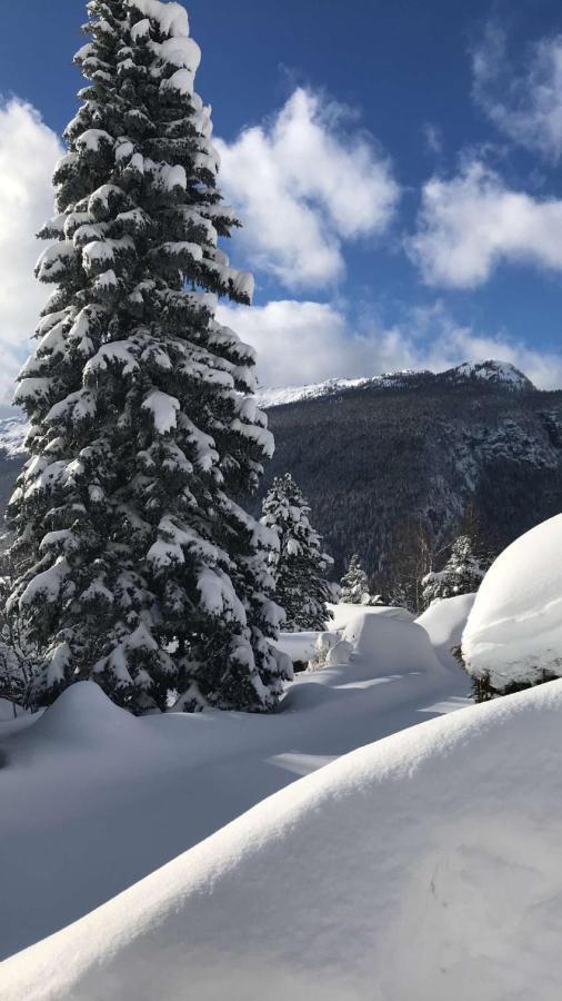 Hotel Et Spa Le Vermont رون - ألب المظهر الخارجي الصورة